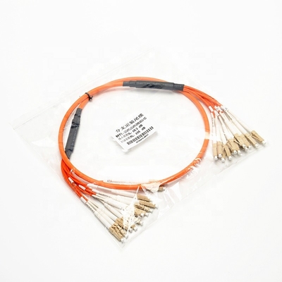 1310nm OM2 2.0mm 12C Multimode Fiber Optic Patch Cords
